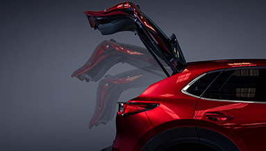 Touts paquetecuatro esteticaautomotriz