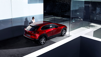 Touts paqueteuno esteticaautomotriz