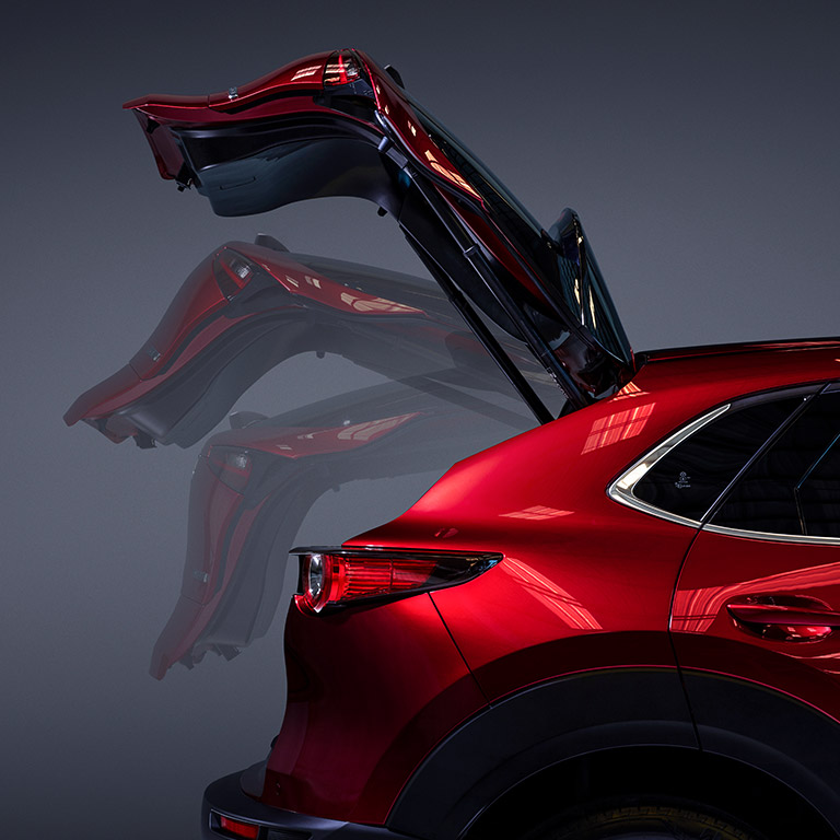 Touts paquetecuatro esteticaautomotriz